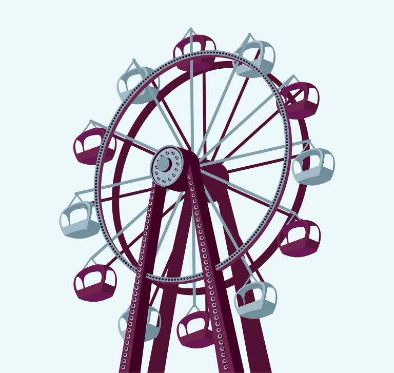 Amusement ride inspection